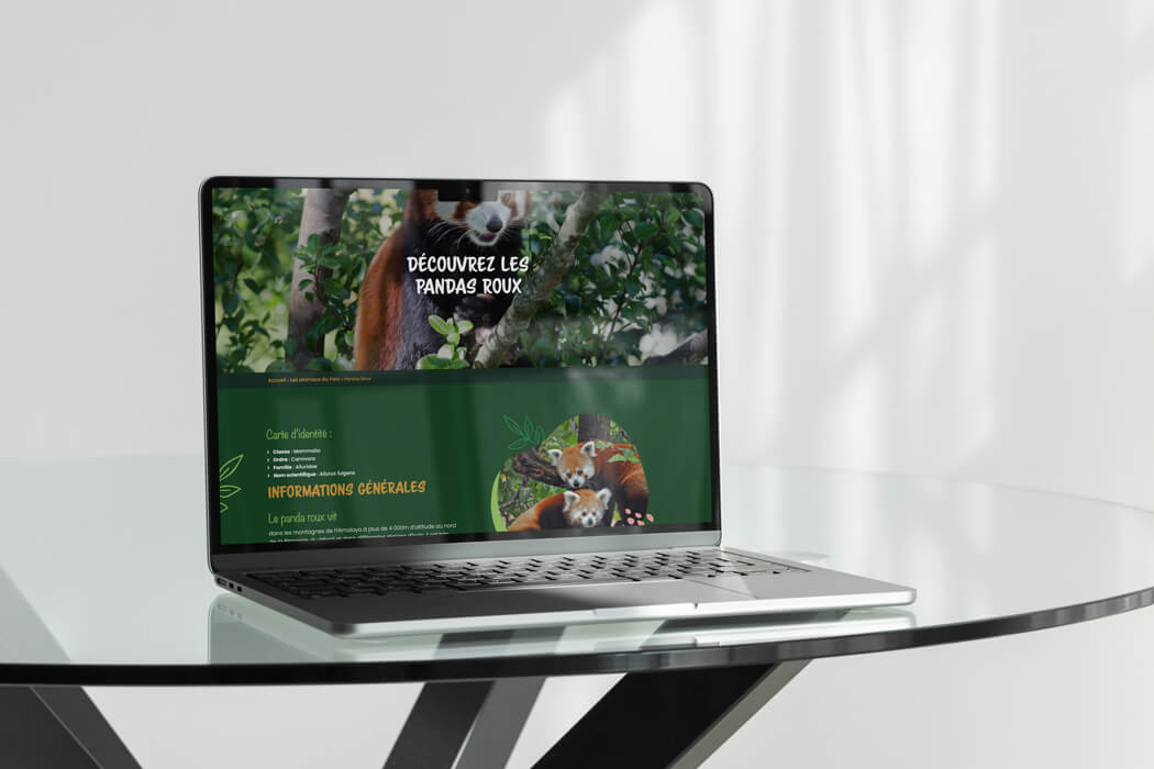 refonte du site internet du parc animalier d'auvergne